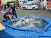 Tag der Feuerwehr 2017 (1).jpg