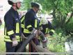 10_Stadtfeuerwehrtag_2008.jpg