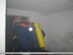 15_Berufsfeuerwehrtag_der_Jugendfeuerwehr_2008.jpg