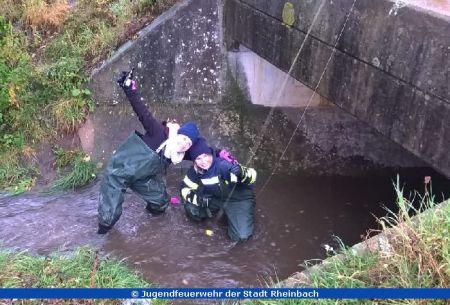 Die zwei Störenfriede im Bach.