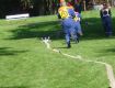 Leistungsspangen_2009056.jpg