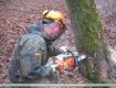 06_Motorsägenlehrgang_2009.jpg