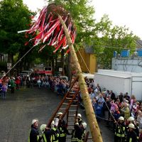 Maibaum