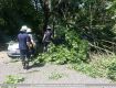 06_Unwettereinsatz_Überörtliche_Hilfe_Düsseldorf_2014.jpg