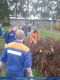 Holzsammeln JF Wormersdorf  2010001.jpg