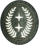 Funktionsabzeichen Leiter der Feuerwehr